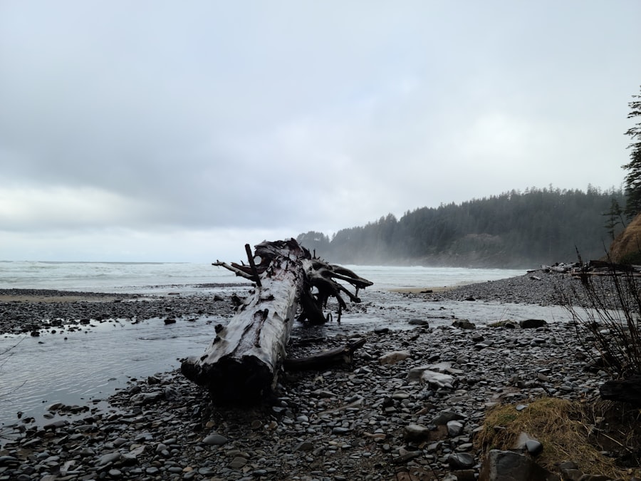 Photo Chevy Silverado wreck